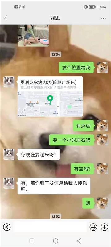 白丝袜的御姐